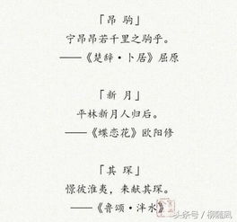 以诗词为灵感的宠物取名-第1张图片-彩蝶百科