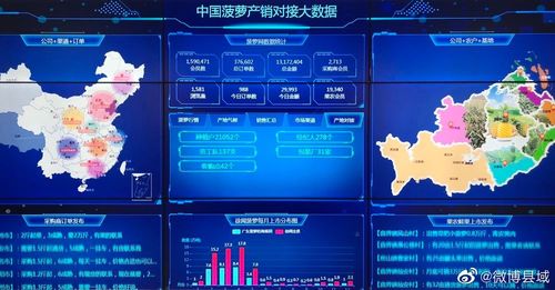 全国收入调查-第1张图片-彩蝶百科