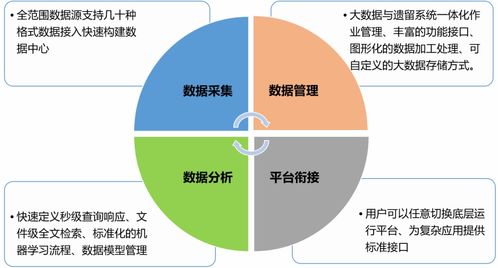行业大数据平台：构建智慧业务的关键-第1张图片-彩蝶百科