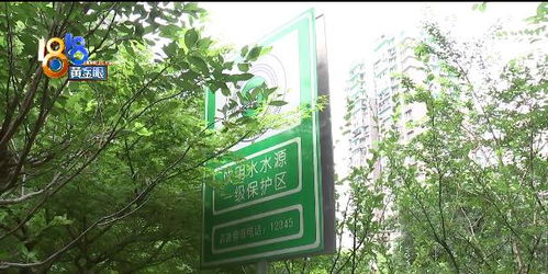 北京沙河钓鱼-第1张图片-彩蝶百科 北京沙河钓鱼-第1张图片-彩蝶百科