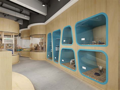 南山宠物店-第1张图片-彩蝶百科