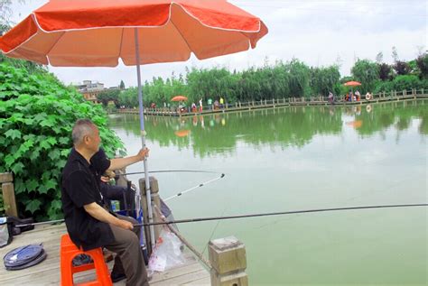 金华钓鱼烧烤农家乐-第1张图片-彩蝶百科