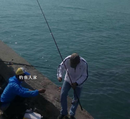 海上垂钓专家：技巧与经验分享-第1张图片-彩蝶百科