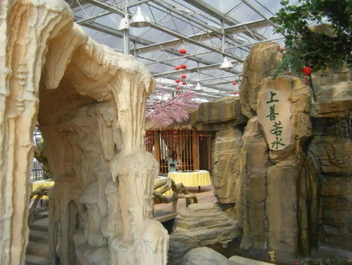 保定钓场-第1张图片-彩蝶百科