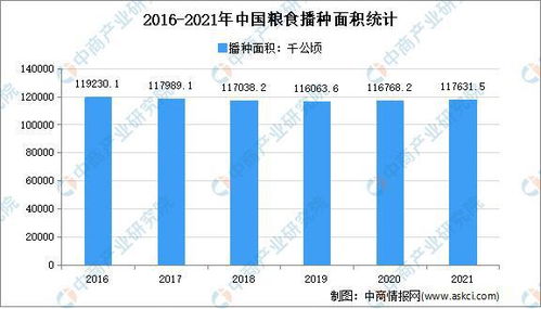 粮食生产-第1张图片-彩蝶百科 粮食生产-第1张图片-彩蝶百科
