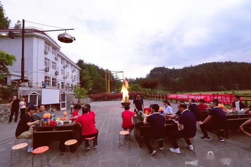 市场调研和定位-第1张图片-彩蝶百科 市场调研和定位-第1张图片-彩蝶百科