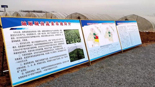 社区特色-第1张图片-彩蝶百科 社区特色-第1张图片-彩蝶百科