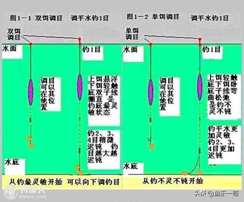 资江有什么鱼-第1张图片-彩蝶百科