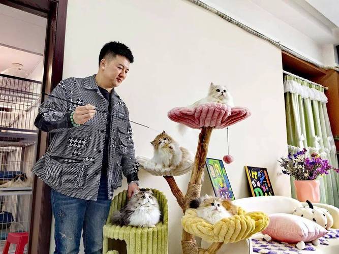 大连市宠物食品公司-第1张图片-彩蝶百科