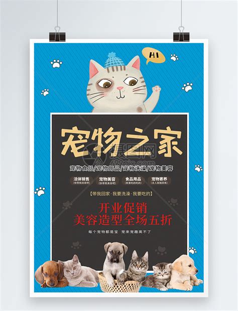 如何逃离宠物商店-第1张图片-彩蝶百科
