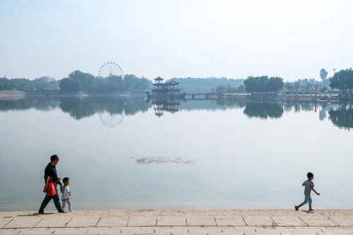 济南市先行区永乐垂钓园-第1张图片-彩蝶百科