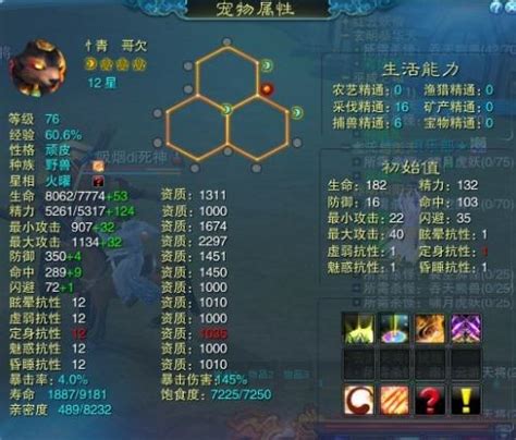 了解宠物蜘蛛-第1张图片-彩蝶百科
