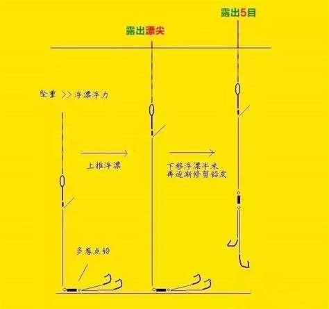 在南水北调钓鱼违法吗-第1张图片-彩蝶百科