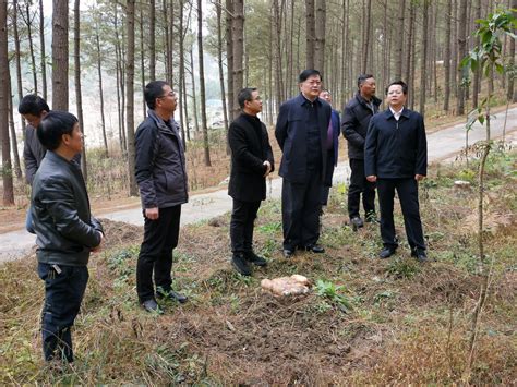 贵州省林下经济高质量发展现场推进会-第1张图片-彩蝶百科 贵州省林下经济高质量发展现场推进会-第1张图片-彩蝶百科