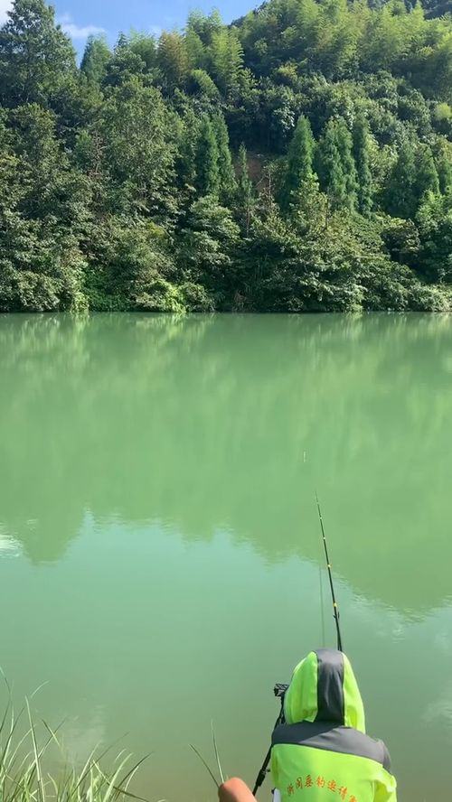 图片一：清晨垂钓-第4张图片-彩蝶百科