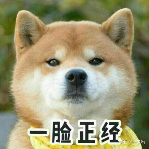 1.小型动物-第1张图片-彩蝶百科