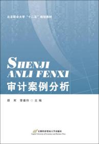 大数据审计案例分析步骤-第1张图片-彩蝶百科