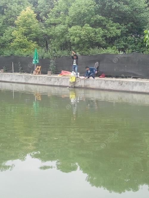 1.青龙湖-第1张图片-彩蝶百科