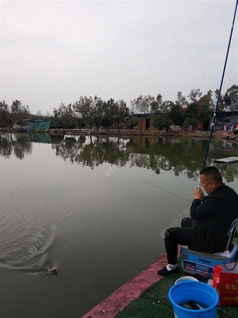 阳澄湖垂钓中心如何收费-第1张图片-彩蝶百科
