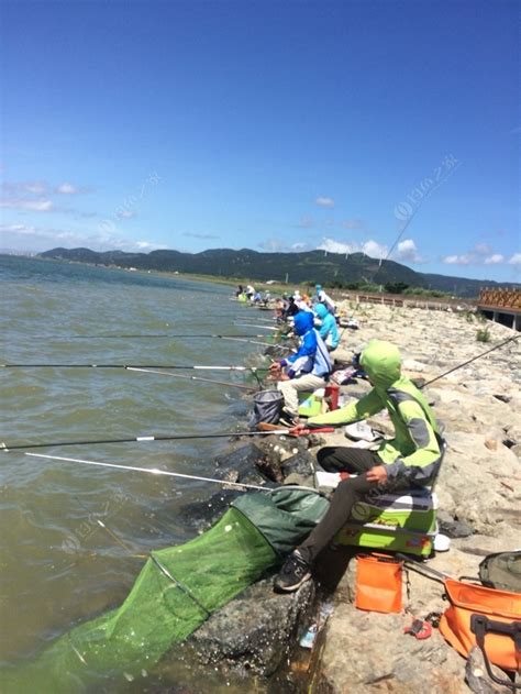 宁波垂钓野炊露营价格多少-第1张图片-彩蝶百科 宁波垂钓野炊露营价格多少-第1张图片-彩蝶百科