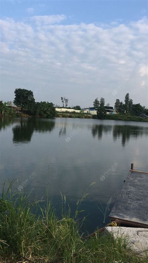 利用耕地建设垂钓园地-第1张图片-彩蝶百科