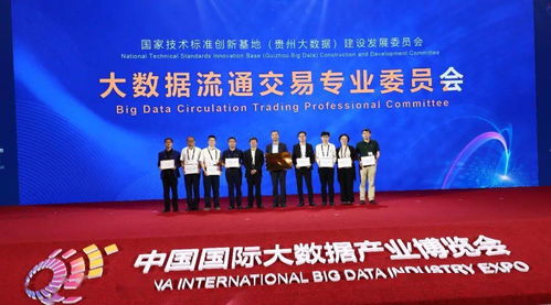产业定位-第1张图片-彩蝶百科