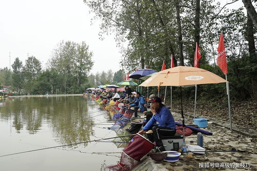秦皇岛秋天旅游景点-第1张图片-彩蝶百科