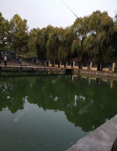泰安露营基地-第1张图片-彩蝶百科