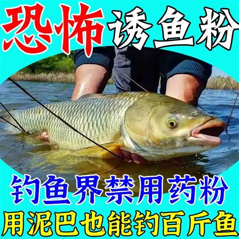 附近钓鲫鱼的垂钓园电话-第1张图片-彩蝶百科