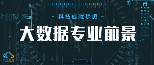 大数据人才中心的重要性-第1张图片-彩蝶百科
