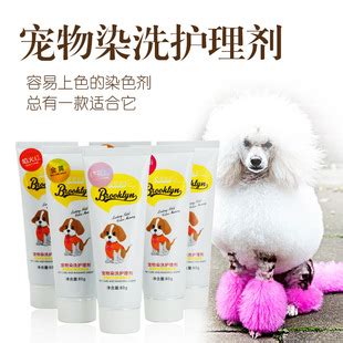 宠物染色-第1张图片-彩蝶百科 宠物染色-第1张图片-彩蝶百科