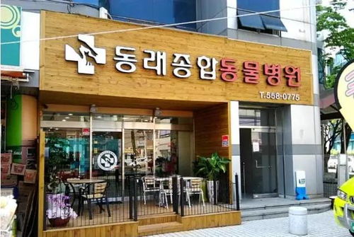 开宠物店的优势五条-第1张图片-彩蝶百科 开宠物店的优势五条-第1张图片-彩蝶百科