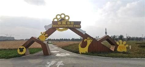 骏景花园宠物店-第1张图片-彩蝶百科