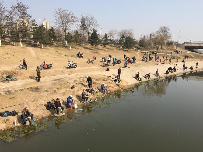 临潼野钓地点-第1张图片-彩蝶百科