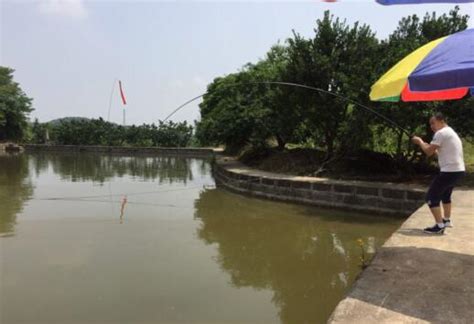 南苑旅游度假村-第1张图片-彩蝶百科