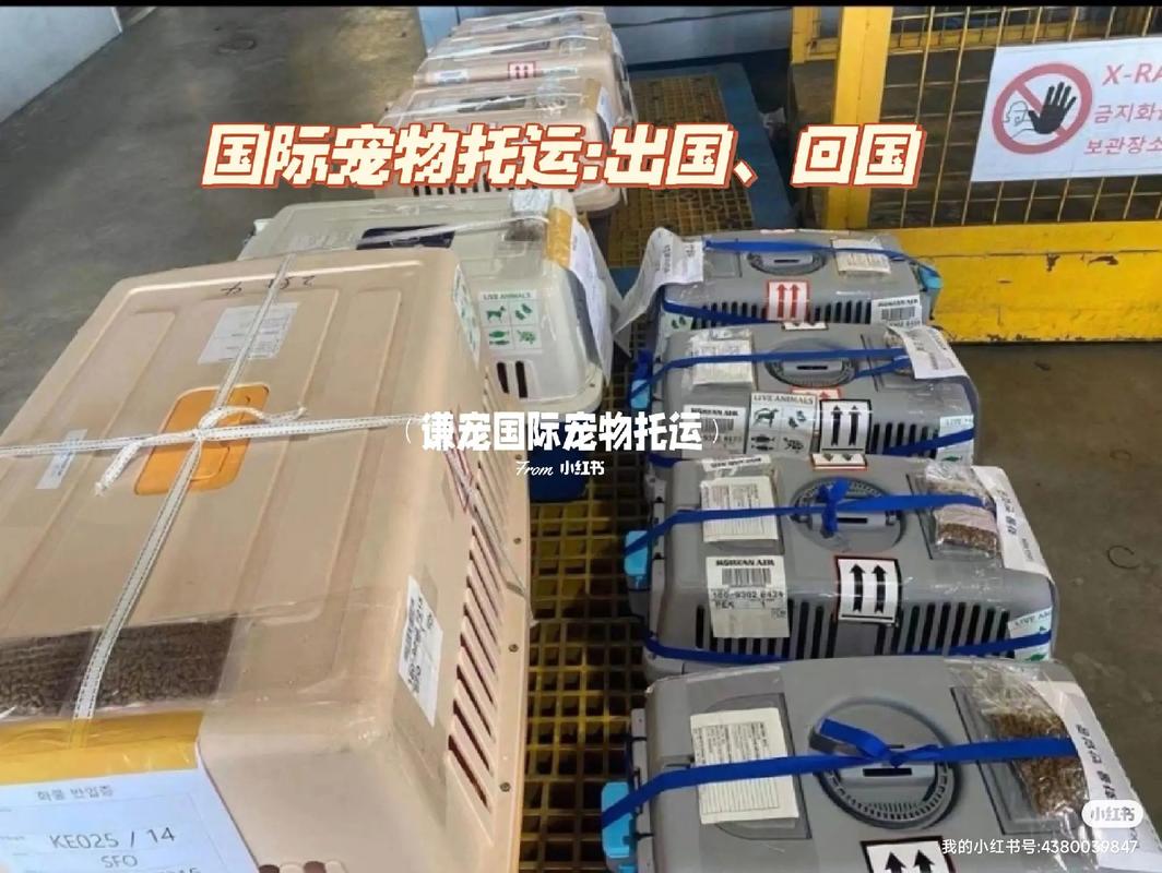 澳洲寄养宠物商店-第1张图片-彩蝶百科