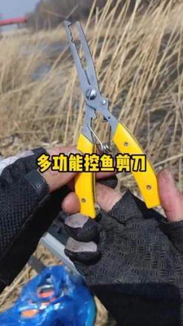 电动鱼刀-第1张图片-彩蝶百科
