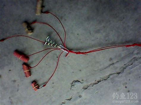 爆炸钩钓大鱼视频-第1张图片-彩蝶百科 爆炸钩钓大鱼视频-第1张图片-彩蝶百科
