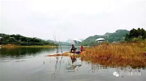 成都哪里可以钓鲟鱼-第1张图片-彩蝶百科 成都哪里可以钓鲟鱼-第1张图片-彩蝶百科