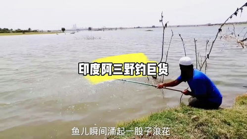 雨中钓鱼视频-第1张图片-彩蝶百科