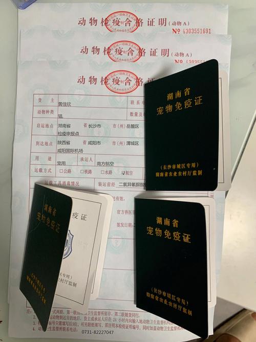 长沙宠物托运快递公司-第1张图片-彩蝶百科