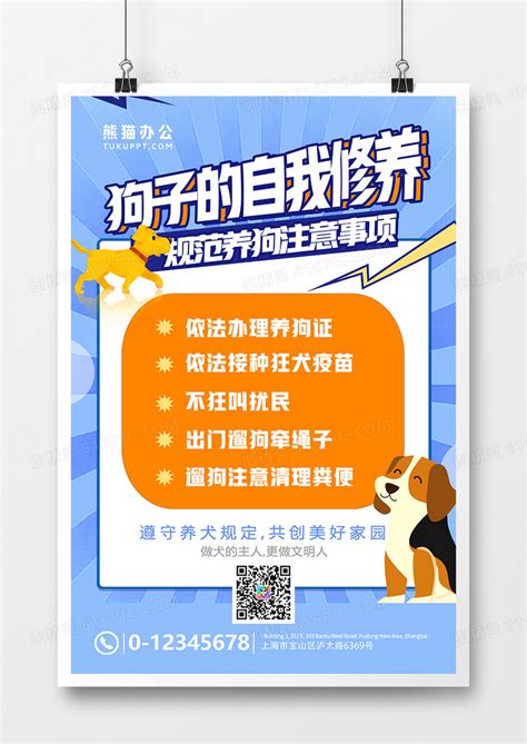 盛景铭：如何正确养护宠物视频？-第1张图片-彩蝶百科