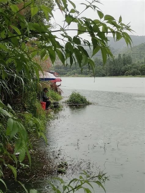 水库概况-第1张图片-彩蝶百科 水库概况-第1张图片-彩蝶百科
