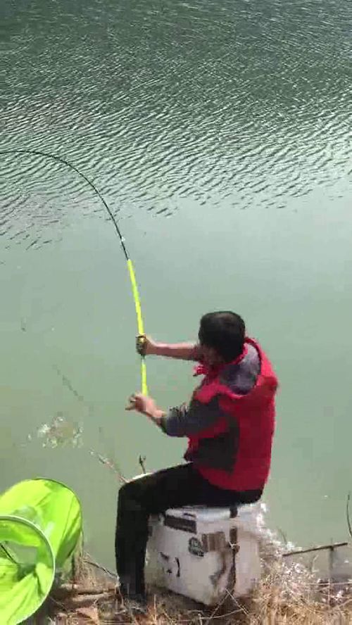 钓鱼时间段选择-第1张图片-彩蝶百科