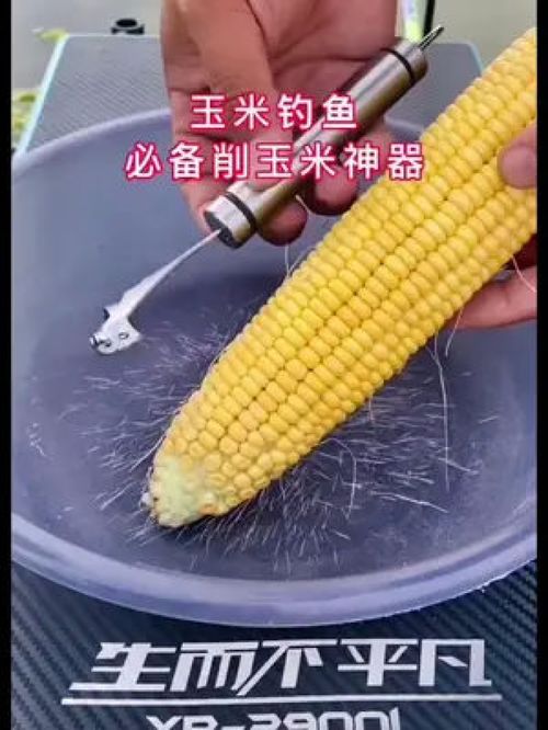 用玉米钓鱼怎么钓-第1张图片-彩蝶百科