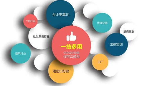 成都会计招聘信息-第1张图片-彩蝶百科