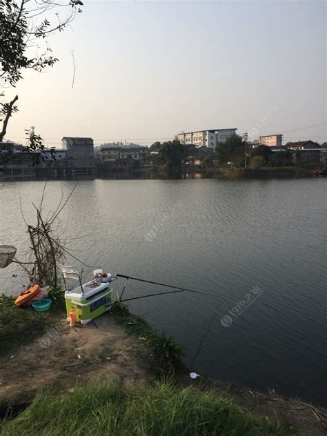 附近免费垂钓地方-第1张图片-彩蝶百科 附近免费垂钓地方-第1张图片-彩蝶百科