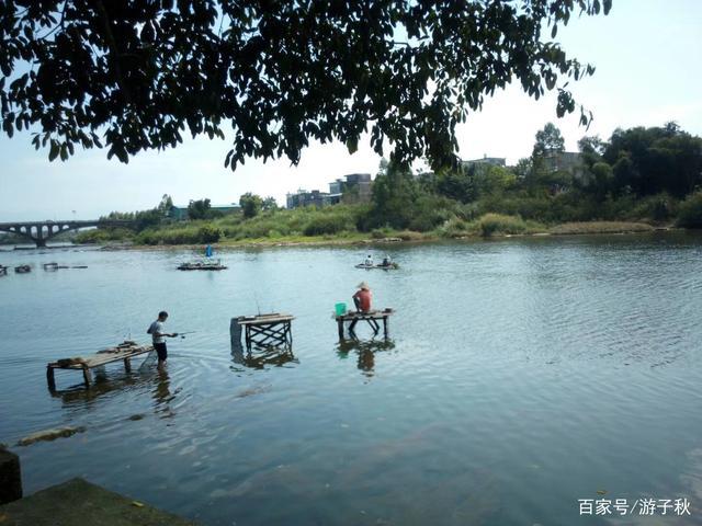1.昆明西山森林公园-第1张图片-彩蝶百科