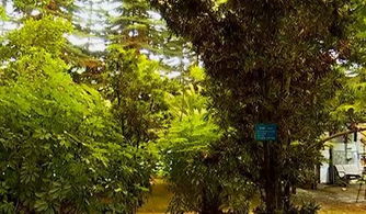 周口植物园几点关了-第1张图片-彩蝶百科