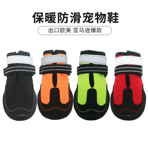 宠物狗鞋子品种-第1张图片-彩蝶百科 宠物狗鞋子品种-第1张图片-彩蝶百科